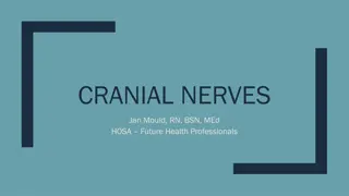 Cranial Nerves in Health Professions