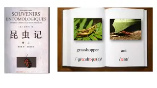 The Grasshopper and the Ant