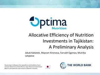 Allocative Efficiency of Nutrition Investments in Tajikistan