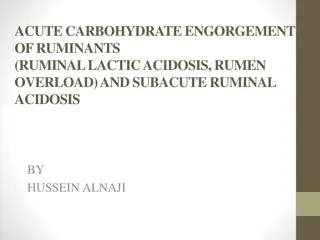 Acute Carbohydrate Engorgement of Ruminants & Pathogenesis