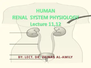 Metabolic Acidosis and Alkalosis: Causes and Mechanisms