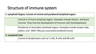 Structure and Function of the Immune System