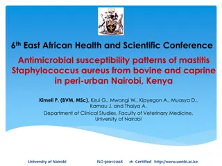 Antimicrobial Susceptibility Patterns of Mastitis Staphylococcus aureus in Nairobi
