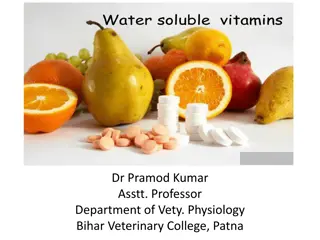 Introduction to Vitamins and Their Importance in Health