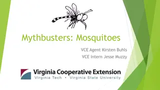 Mythbusters: Mosquitoes - Facts, Control Strategies, and More