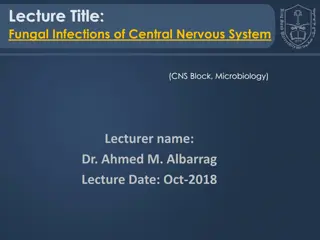 Fungal Infections of Central Nervous System: Clinical Insights