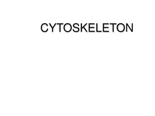 The Cytoskeleton: History, Introduction, and Structural Elements