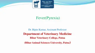 Fever: Causes, Symptoms & Treatment