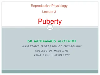 Puberty Physiology and Changes in Adolescence