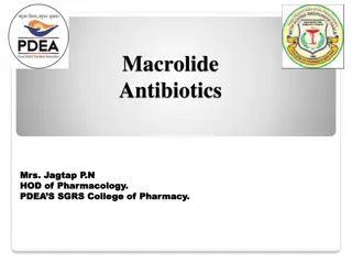 Overview of Macrolide Antibiotics and Their Mechanism of Action