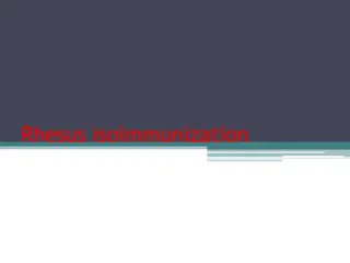 Rhesus Isoimmunization Pathophysiology