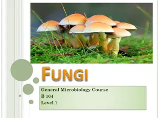 General Microbiology Course  B 104 Level 1