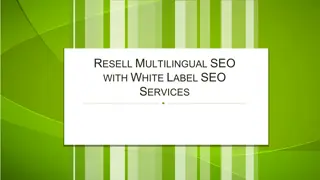 Resell Multilingual SEO with White Label SEO Services
