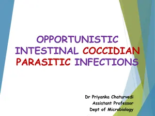 Opportunistic Intestinal Coccidian Parasitic Infections Overview