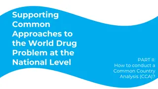 Conducting a Common Country Analysis (CCA) for Effective Drug Policy
