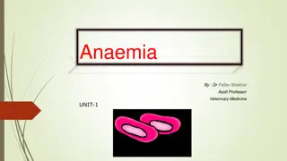 Anaemia in Veterinary Medicine