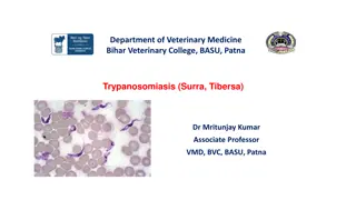 Trypanosomiasis in Cattle and Buffaloes