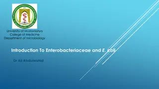 Introduction to Enterobacteriaceae and E. coli in Microbiology