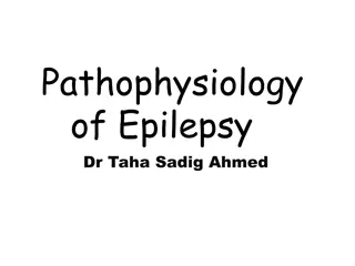 Pathophysiology of Epilepsy and Seizures: Understanding the Brain's Electrical Activity