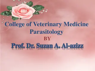 Veterinary Parasitology Nomenclature and Characteristics