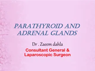 Parathyroid and Adrenal Glands: Development, Anatomy, Physiology, and Surgery