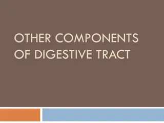 OF DIGESTIVE TRACT