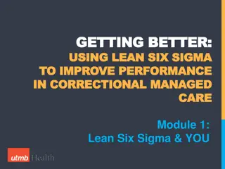 Using Lean Six Sigma to Improve Performance in Correctional Managed Care