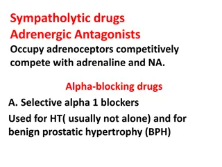 Sympatholytic Drugs - Adrenergic Antagonists Overview