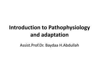 Introduction to Pathophysiology and Adaptation by Assist. Prof. Dr. Baydaa H. Abdullah