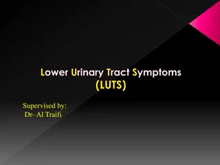 Overview of Lower Urinary Tract Symptoms (LUTS)