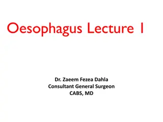 Oesophagus Lecture 1