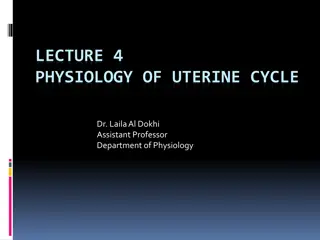 Physiology of Uterine Cycle Overview