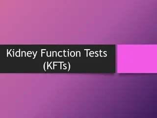 Kidney Function Tests (KFTs)