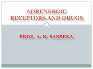 Adrenergic Receptors and Drugs Overview