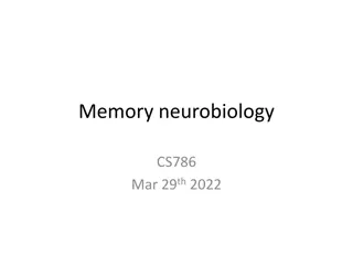 Fascinating Insights into Memory Neurobiology