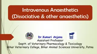 Dissociative Anaesthetics in Veterinary Pharmacology