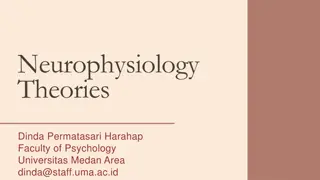 Neurophysiology Theories and Cognitive Processing