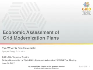 Economic Assessment of Grid Modernization Plans