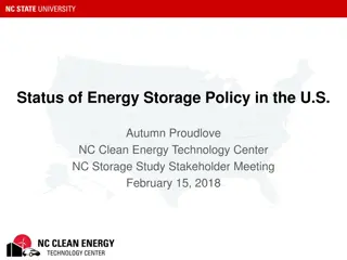 Energy Storage Policy in the U.S.