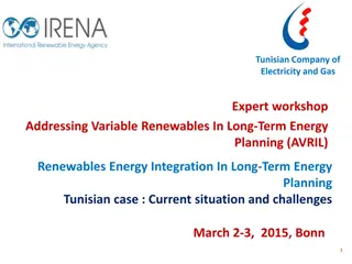 Tunisian Company of Electricity and Gas: Renewable Energy Challenges