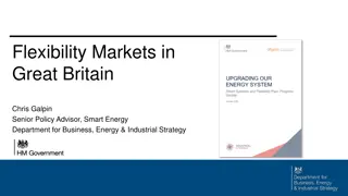 Flexibility Markets in Great Britain - Decarbonisation and Implications