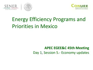 Energy Efficiency Programs and Priorities in Mexico - APEC EGEE&C 45th Meeting Day 1