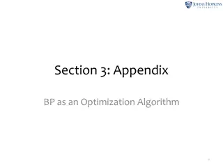 Appendix on BP Optimization Algorithm