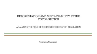 Role of EU's Deforestation Regulation in Cocoa Sector Sustainability