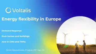 Energy flexibility in Europe