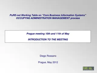 PuRE-net Working Table on Core Business Information Systems Administration Management Process