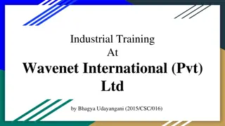 Industrial Training Experience at Wavenet International - Enhancing Skills and Knowledge