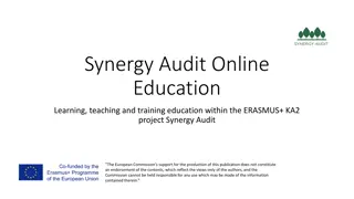 Synergy Audit Online Education