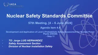 Nuclear Safety Standards Committee