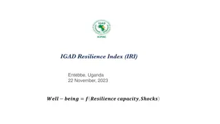 IGAD Resilience Index (IRI)